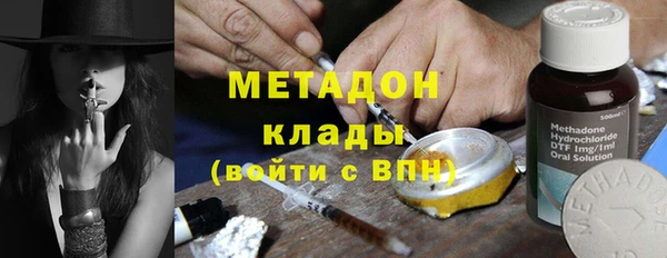 прущие грибы Новодвинск