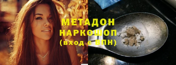 прущие грибы Новодвинск