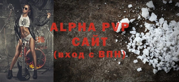 прущие грибы Новодвинск