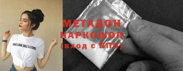 прущие грибы Новодвинск