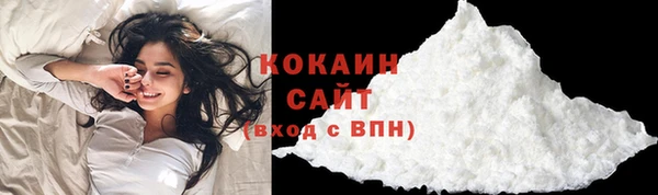прущие грибы Новодвинск