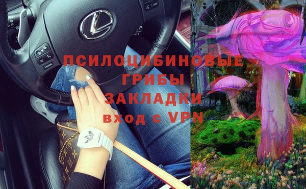 прущие грибы Новодвинск