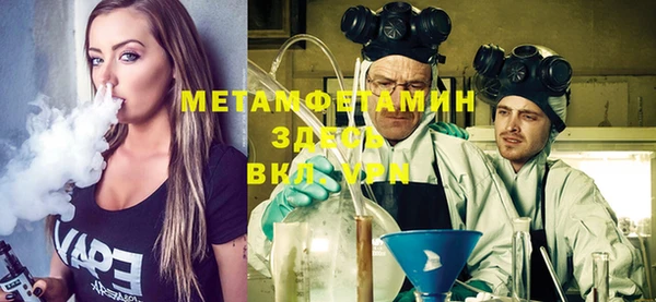 прущие грибы Новодвинск