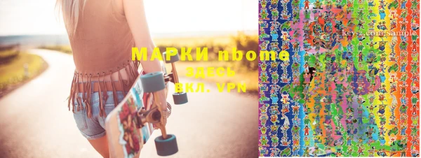прущие грибы Новодвинск