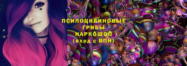 прущие грибы Новодвинск
