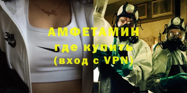 прущие грибы Новодвинск