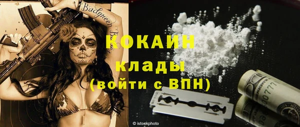 мет Новозыбков