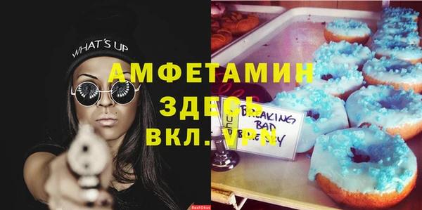 мет Новозыбков