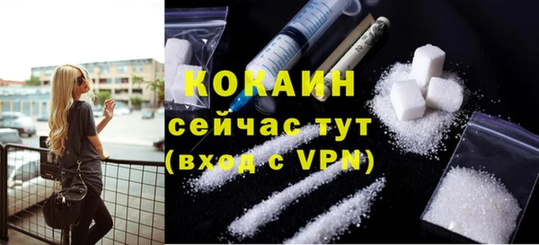 мет Новозыбков