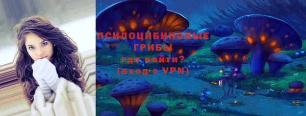 прущие грибы Новодвинск