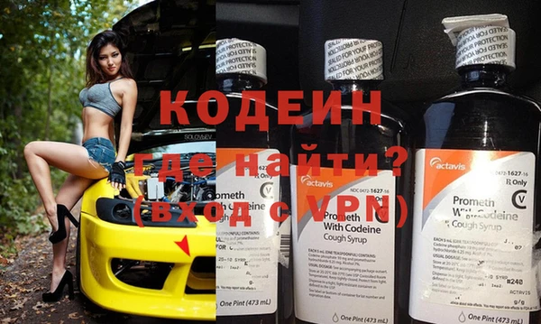 прущие грибы Новодвинск