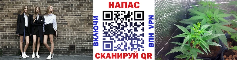 Купить  Сухиничи  Бошки Шишки планчик 